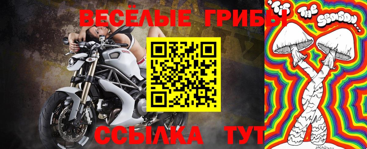 Галлюциногенные грибы GOLDEN TEACHER  Галлюциногенные грибы Cubensis  Сарапул  Вход с VPN 