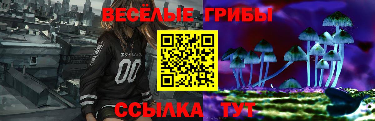 Псилоцибиновые грибы MAGIC MUSHROOMS Сарапул