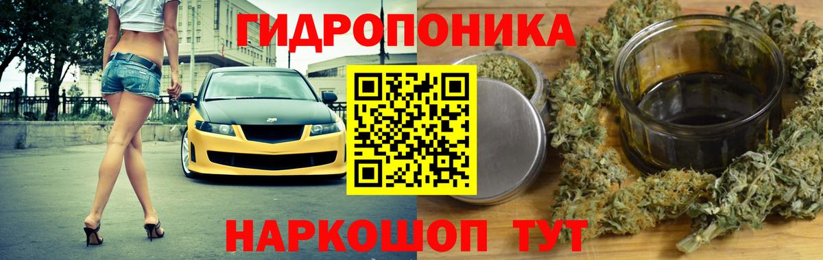 Конопля OG Kush Сарапул